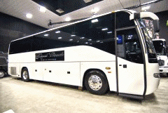 lnsanibus
