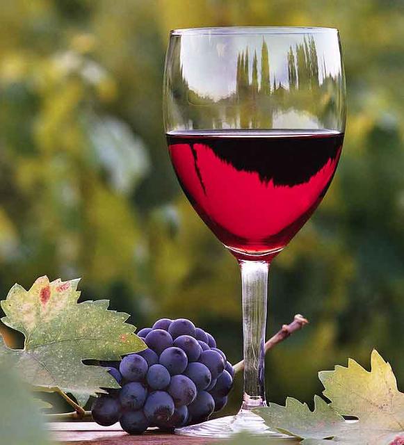 Wine Tours Wine Tours